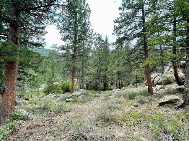 0 Hemlock Drive Lyons, CO 80540