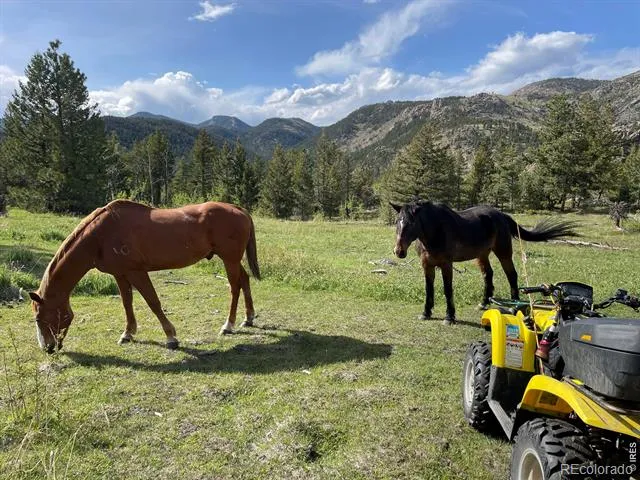 0 Hemlock Drive Lyons, CO 80540