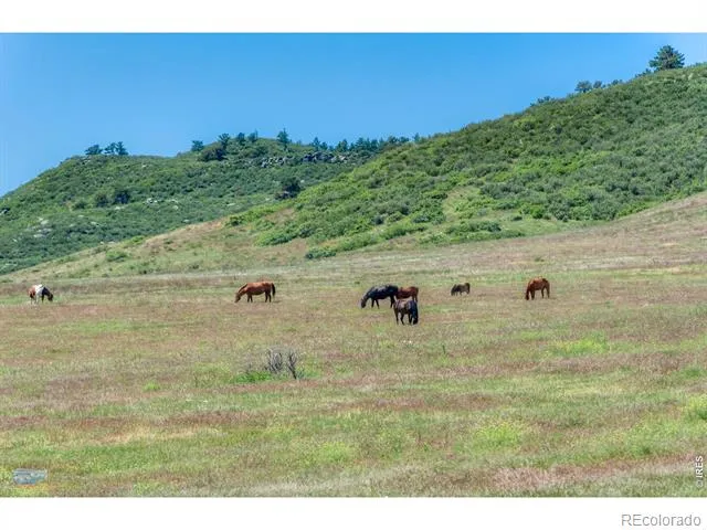 0 County Road 8E Berthoud, CO 80513