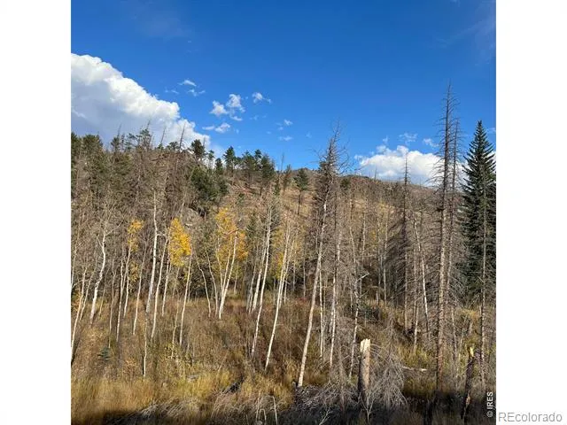 11 Monument Gulch Way Bellvue, CO 80512