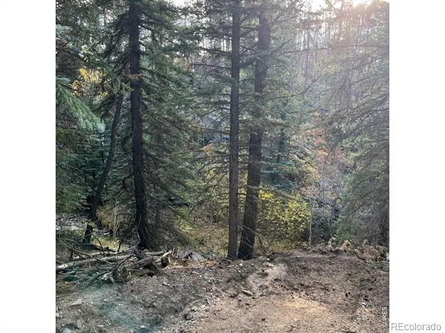 11 Monument Gulch Way Bellvue, CO 80512