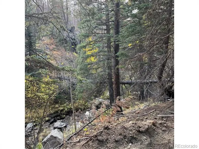 11 Monument Gulch Way Bellvue, CO 80512