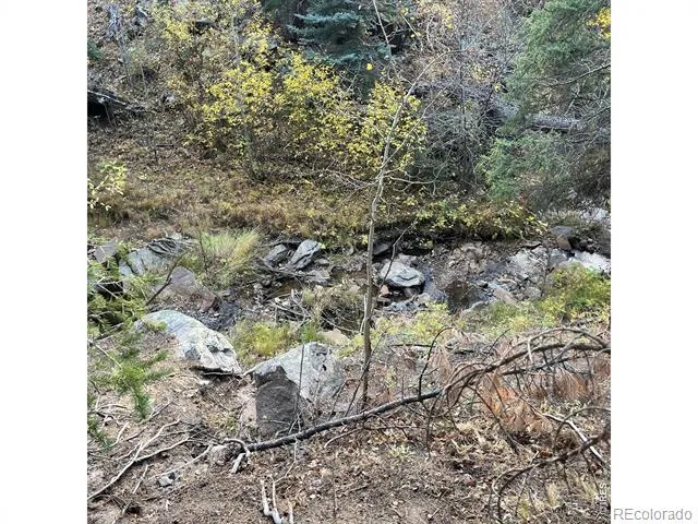 11 Monument Gulch Way Bellvue, CO 80512
