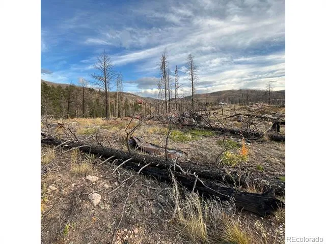 11 Monument Gulch Way Bellvue, CO 80512