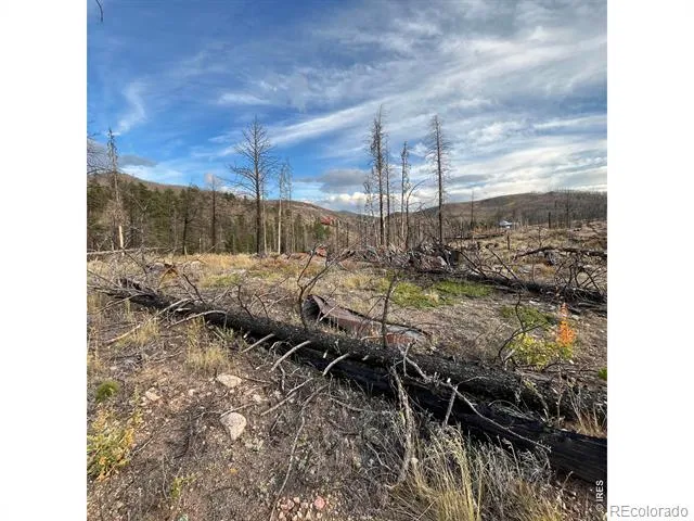 11 Monument Gulch Way Bellvue, CO 80512
