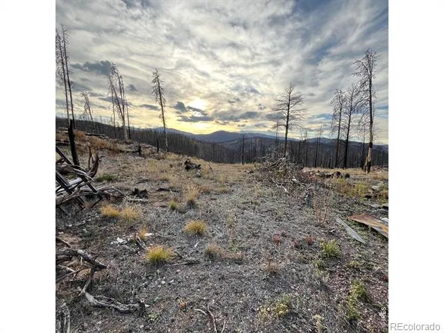 11 Monument Gulch Way Bellvue, CO 80512