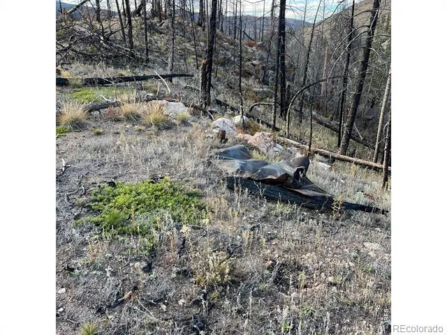 11 Monument Gulch Way Bellvue, CO 80512