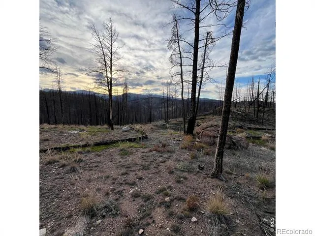 11 Monument Gulch Way Bellvue, CO 80512