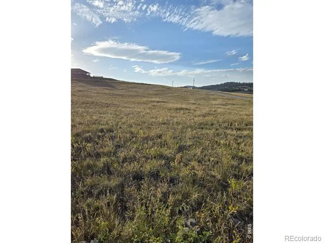 443 Meadow Mountain Drive Livermore, CO 80536