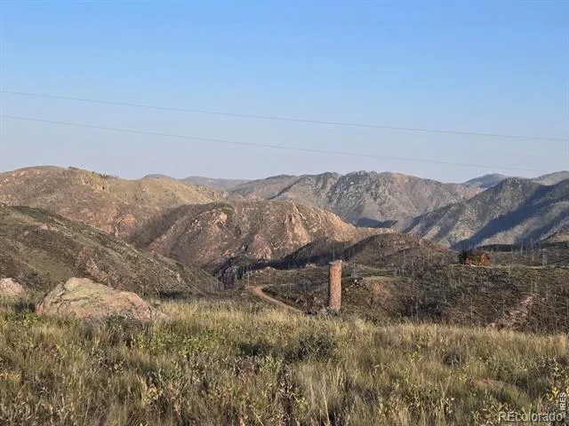 443 Meadow Mountain Drive Livermore, CO 80536