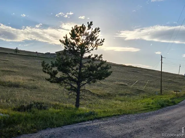 443 Meadow Mountain Drive Livermore, CO 80536