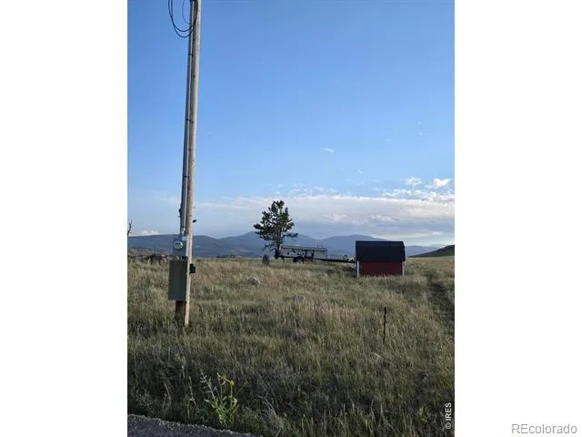 443 Meadow Mountain Drive Livermore, CO 80536