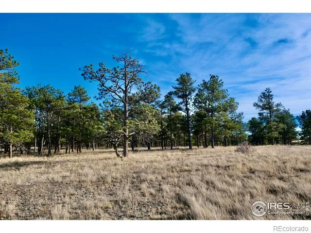 0 Walno Avenue Livermore, CO 80536