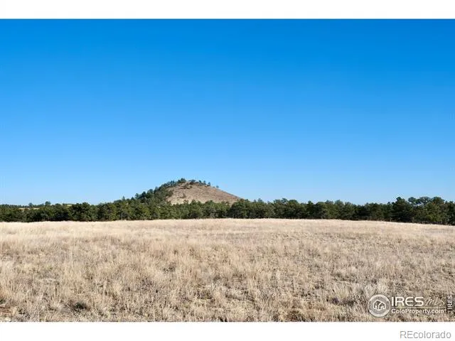 0 Walno Avenue Livermore, CO 80536