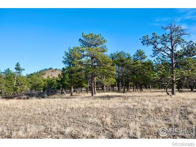 0 Walno Avenue Livermore, CO 80536