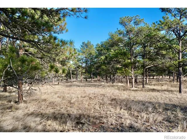 0 Walno Avenue Livermore, CO 80536