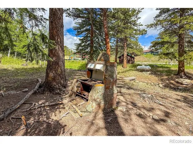 412 Highway 7 Business Allenspark, CO 80510
