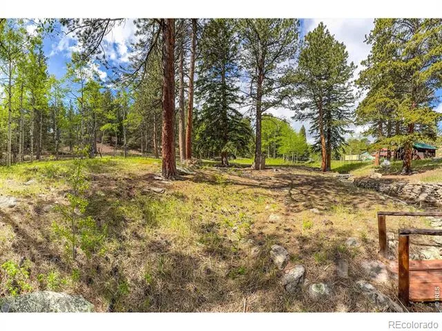 412 Highway 7 Business Allenspark, CO 80510