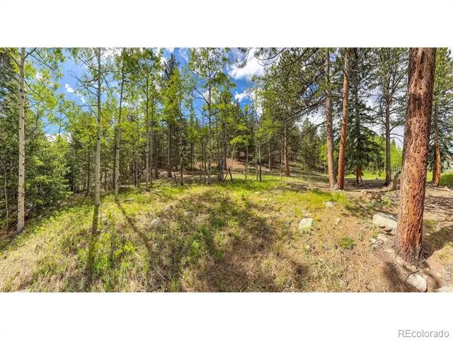 412 Highway 7 Business Allenspark, CO 80510