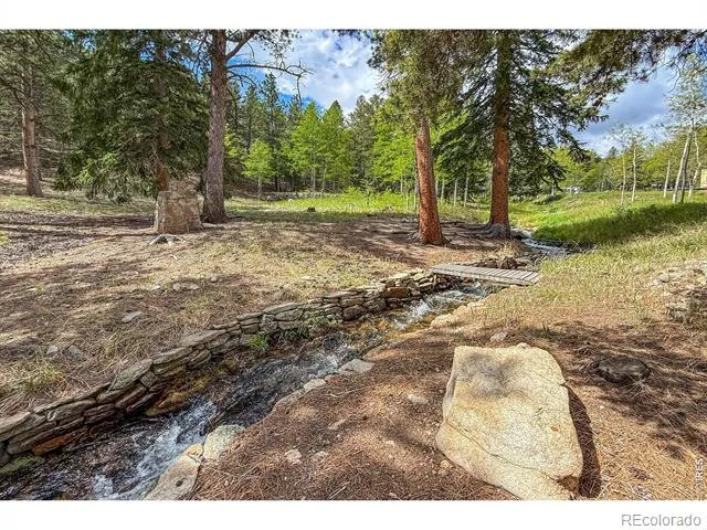 412 Highway 7 Business Allenspark, CO 80510