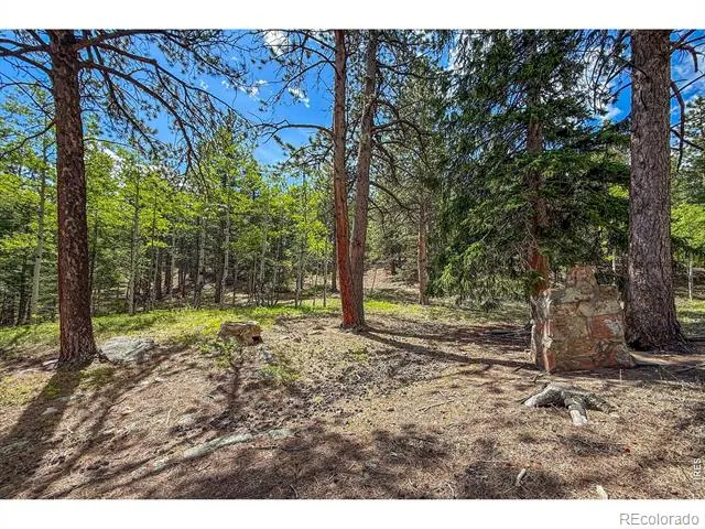 412 Highway 7 Business Allenspark, CO 80510