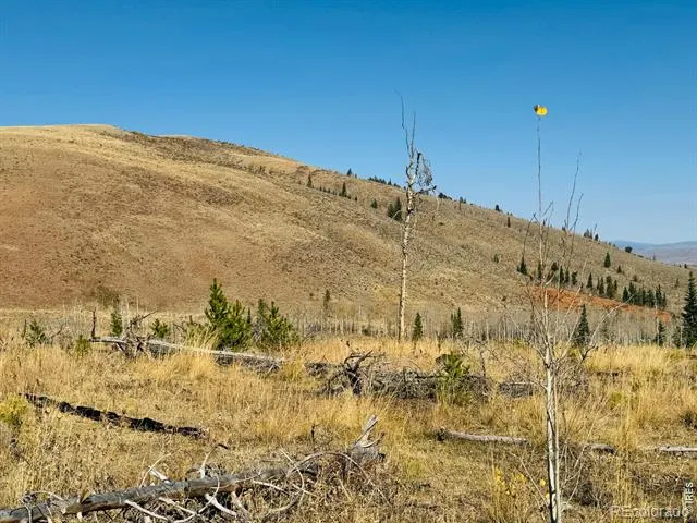 0 Parsons Draw Road Walden, CO 80480