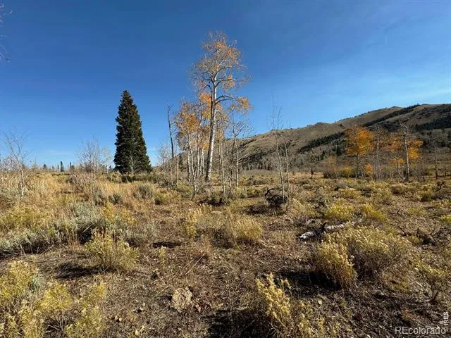0 Parsons Draw Road Walden, CO 80480