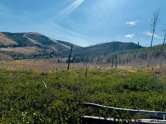 0 Parsons Draw Road Walden, CO 80480