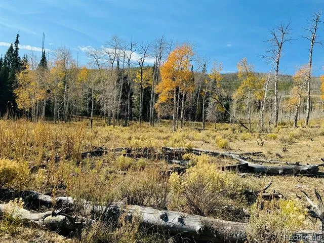 0 Parsons Draw Road Walden, CO 80480