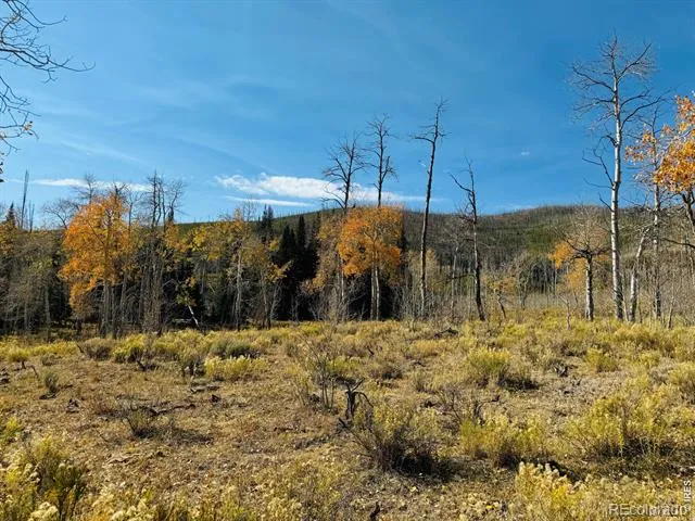 0 Parsons Draw Road Walden, CO 80480