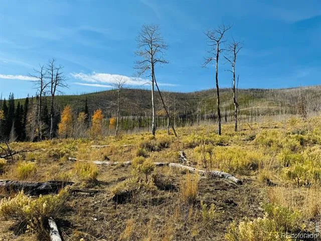 0 Parsons Draw Road Walden, CO 80480