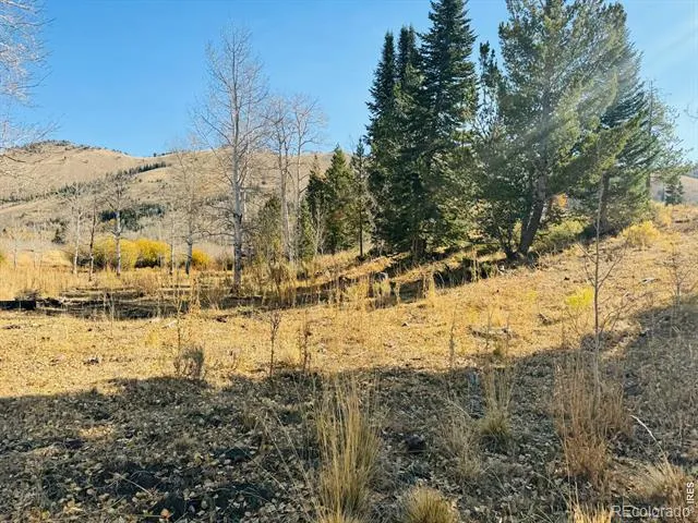 0 Parsons Draw Road Walden, CO 80480