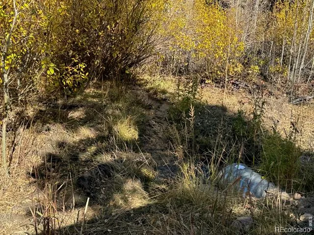 0 Parsons Draw Road Walden, CO 80480