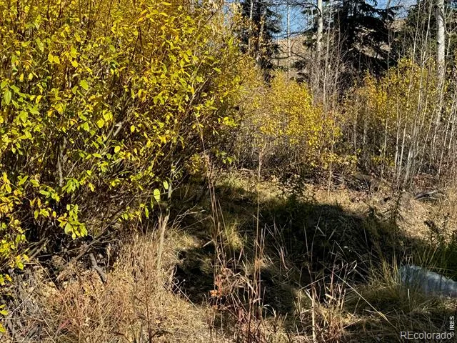 0 Parsons Draw Road Walden, CO 80480
