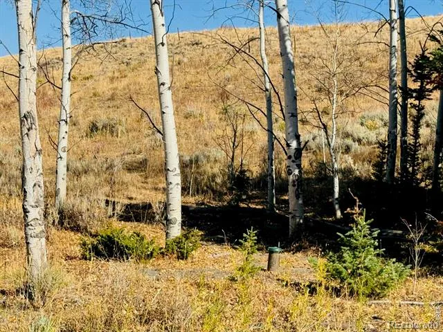 0 Parsons Draw Road Walden, CO 80480