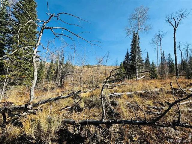 0 Parsons Draw Road Walden, CO 80480