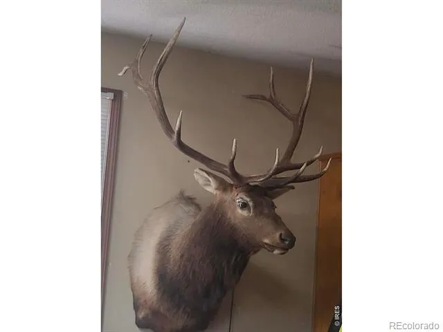 0 Parsons Draw Road Walden, CO 80480