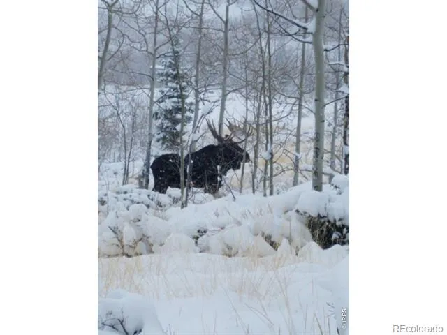 0 Parsons Draw Road Walden, CO 80480
