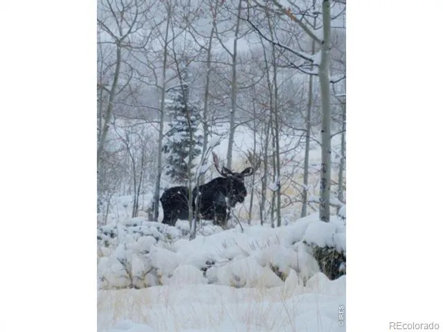 0 Parsons Draw Road Walden, CO 80480