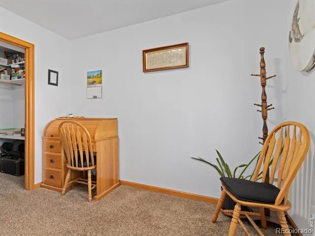 131 Willowstone Court Estes Park, CO 80517