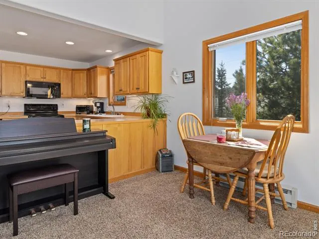131 Willowstone Court Estes Park, CO 80517