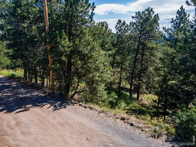 149 W Millionaire Drive W Boulder, CO 80302