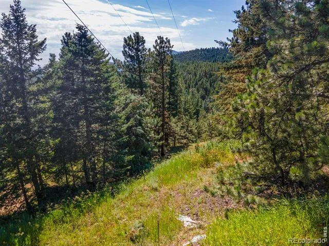 149 W Millionaire Drive W Boulder, CO 80302