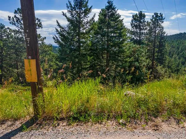 149 W Millionaire Drive W Boulder, CO 80302