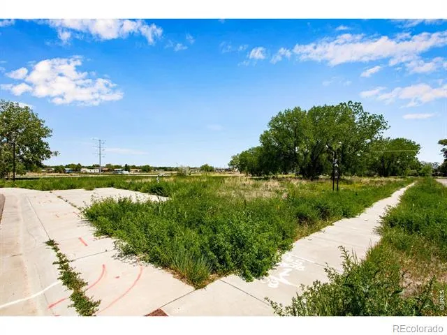 532 Osiander Street Fort Collins, CO 80524