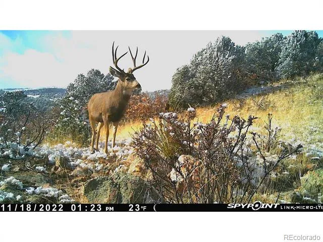 0 Cap Rock Roads #4 Canon City, CO 81212
