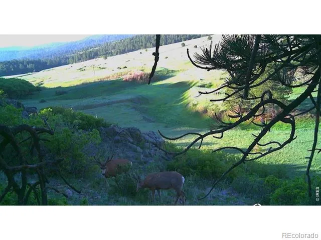 0 Cap Rock Roads #4 Canon City, CO 81212
