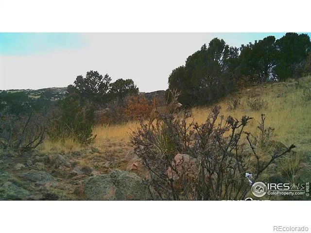 0 Cap Rock Roads #4 Canon City, CO 81212
