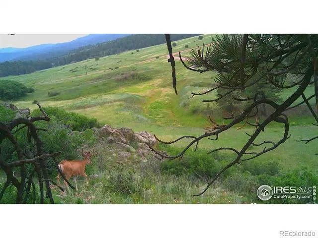 0 Cap Rock Roads #4 Canon City, CO 81212