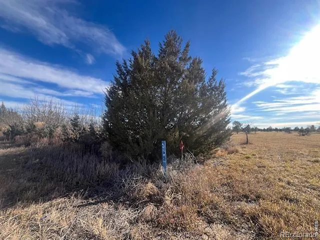 4952 County Rd H Wiggins, CO 80654